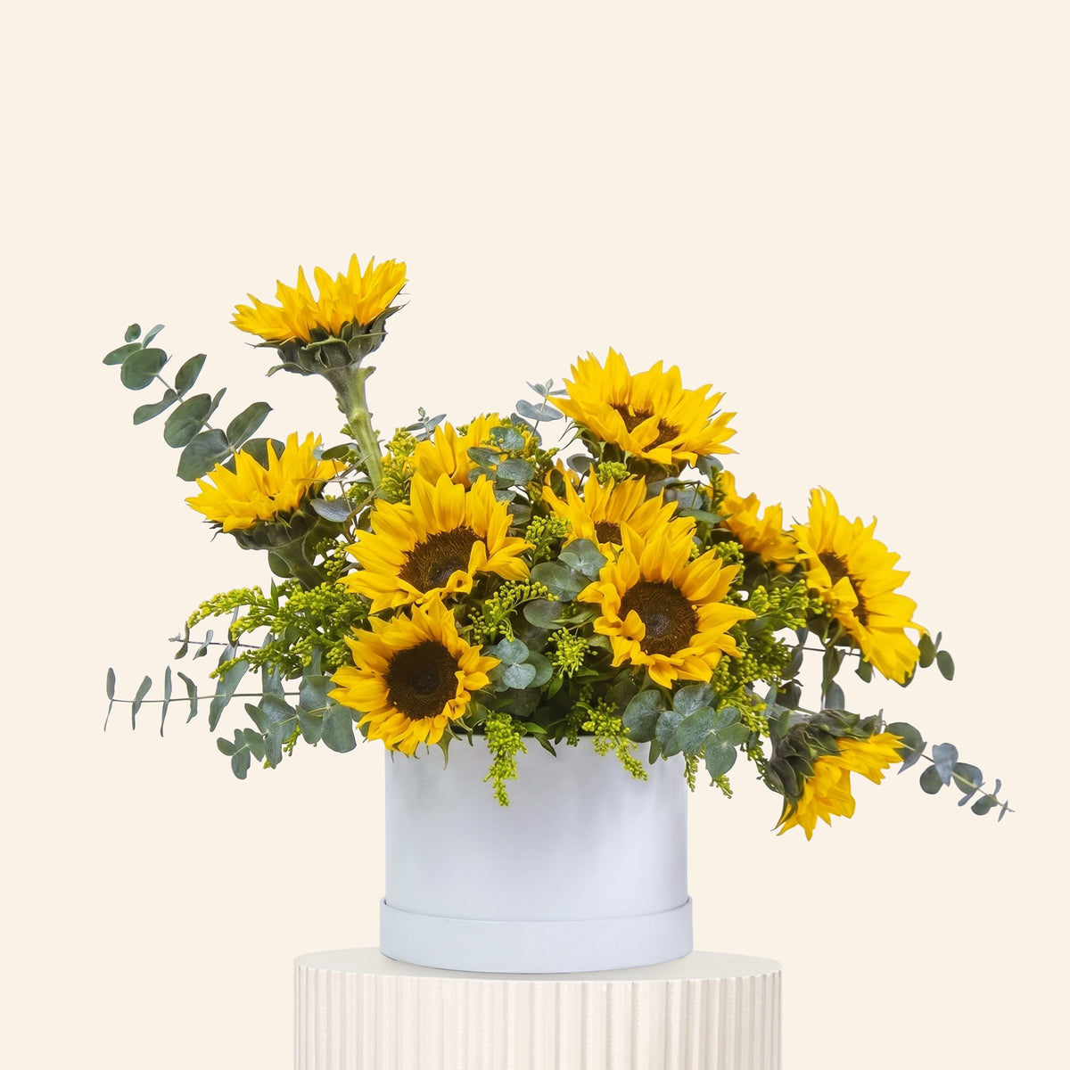Bouquet of sunflowers in a white container on a light beige background