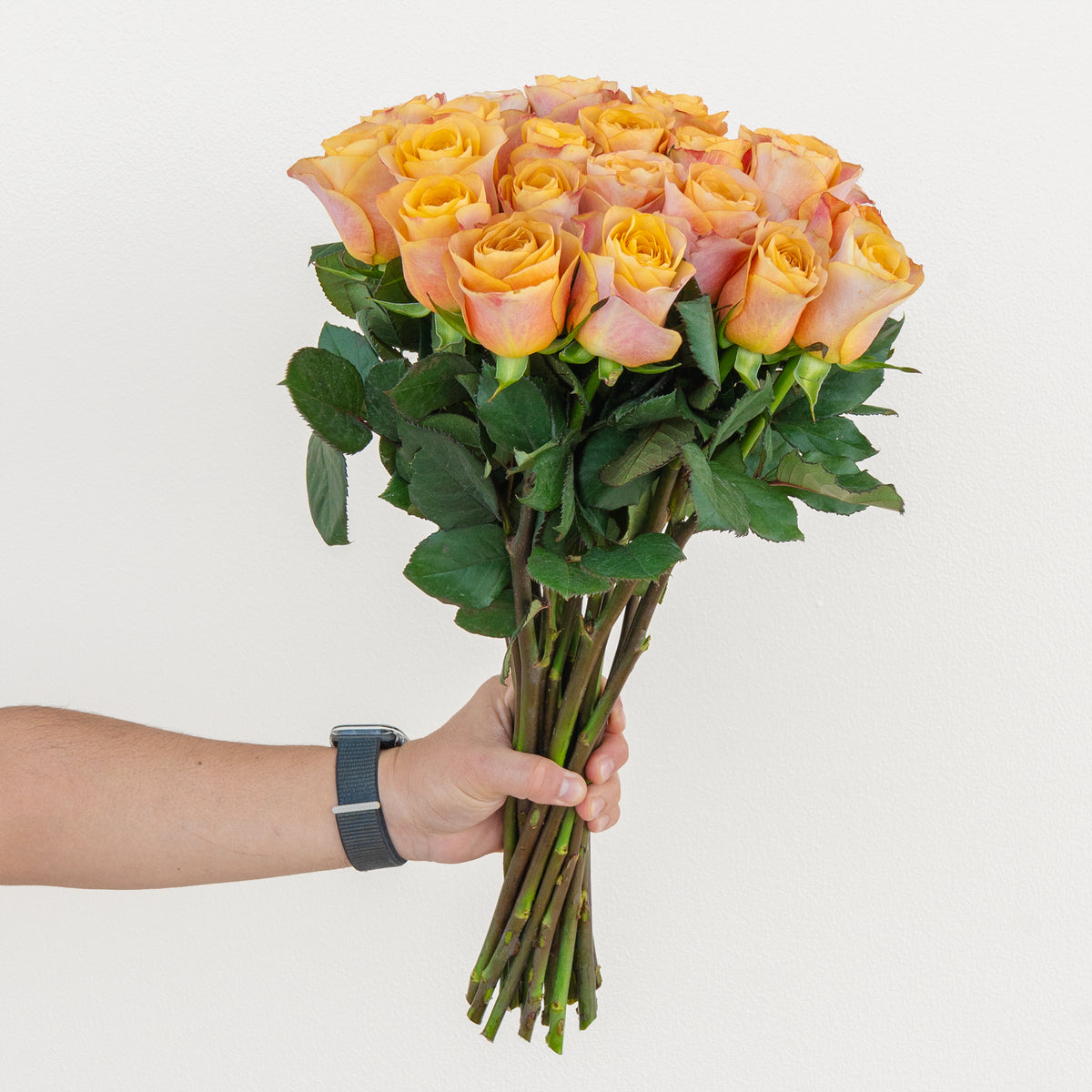Bouquet of yellow roses held by a person against a white background