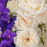 Close-up of white and purple flowers