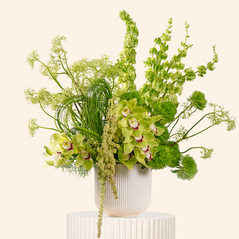 Verdant Symphony