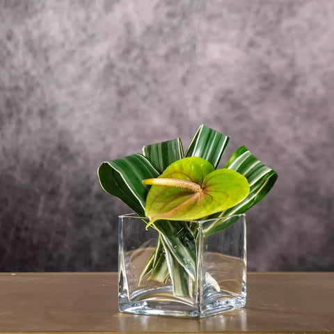 Botanical Buzz luxury flower arrangement with fresh flowers for gifting in Dubai UAE
