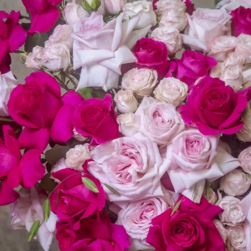 Flamingo, Pink Ohara, Pink Floyd, Gentle Trendsetter blooms, Chasmanthium touch, Captivating floral arrangement, Romantic flower bouquet, Elegant centerpiece, Enchanting blooms, Expressive floral gift