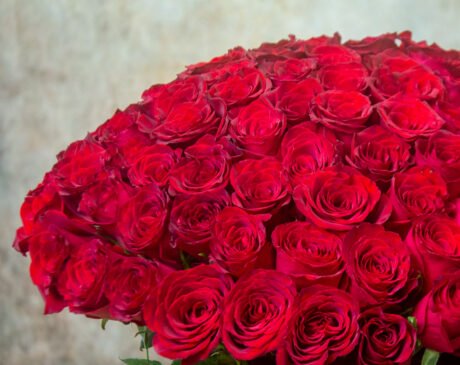 Red roses bouquet 100 roses